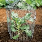 3-in-1 Chicken Wire Cloche